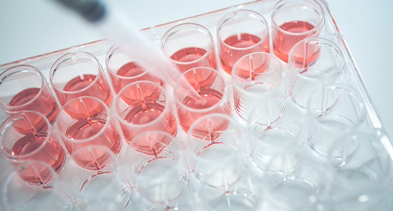 医薬品業界での導入事例